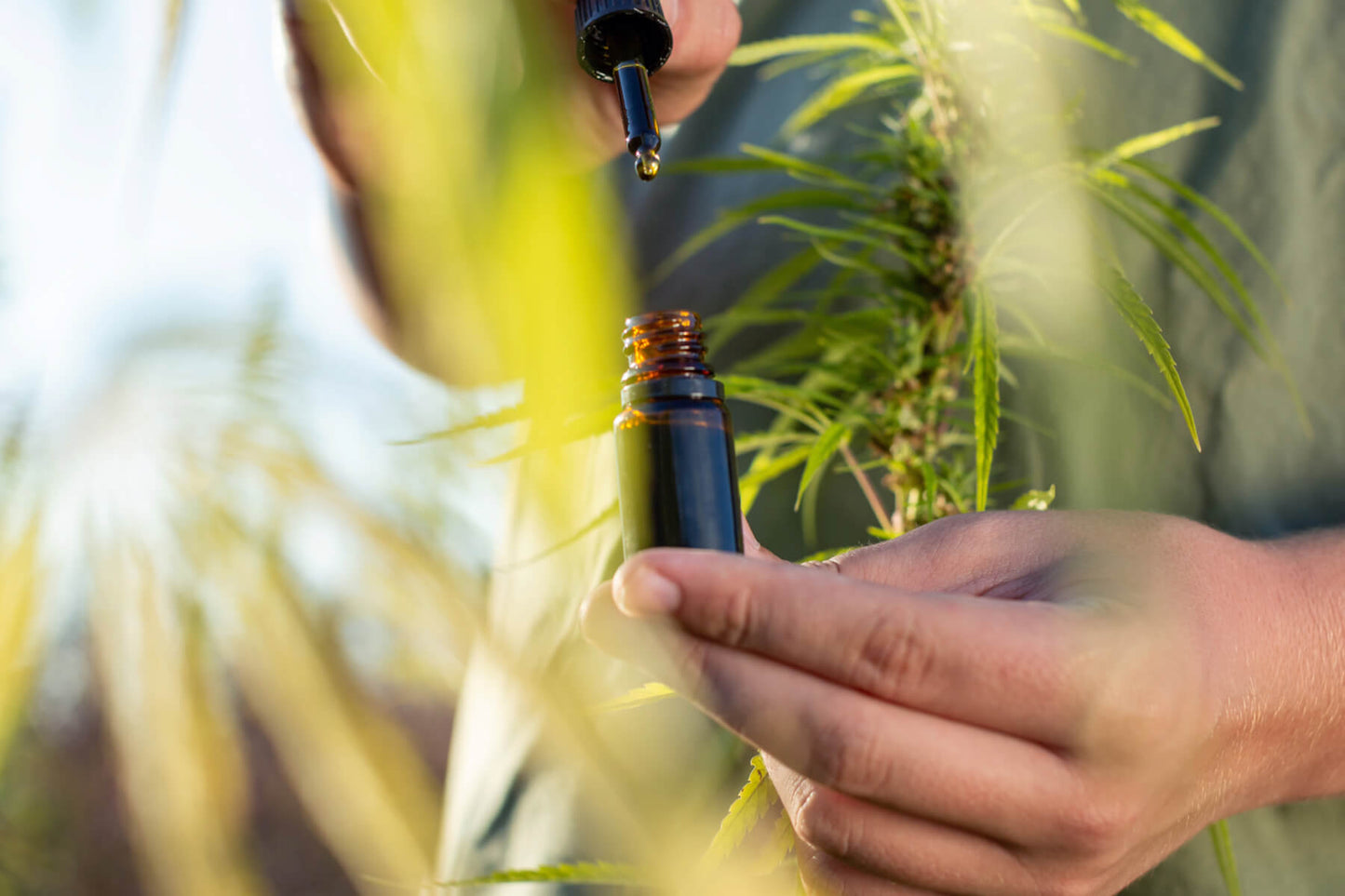 CBD Origin